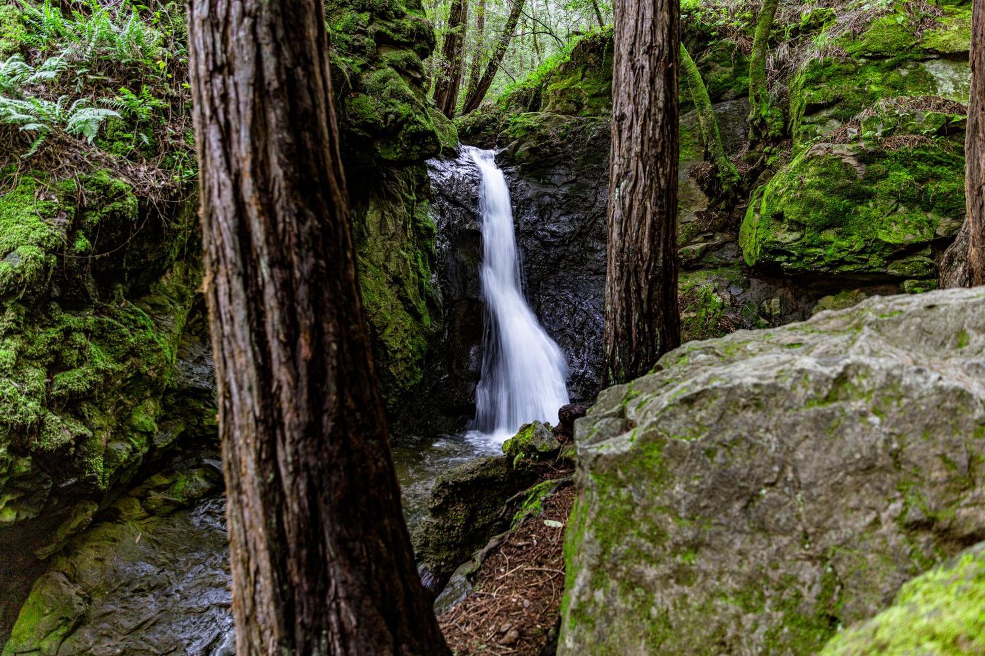 Enchanted Waterfall Sanctuary Милл-Вэлли Экстерьер фото