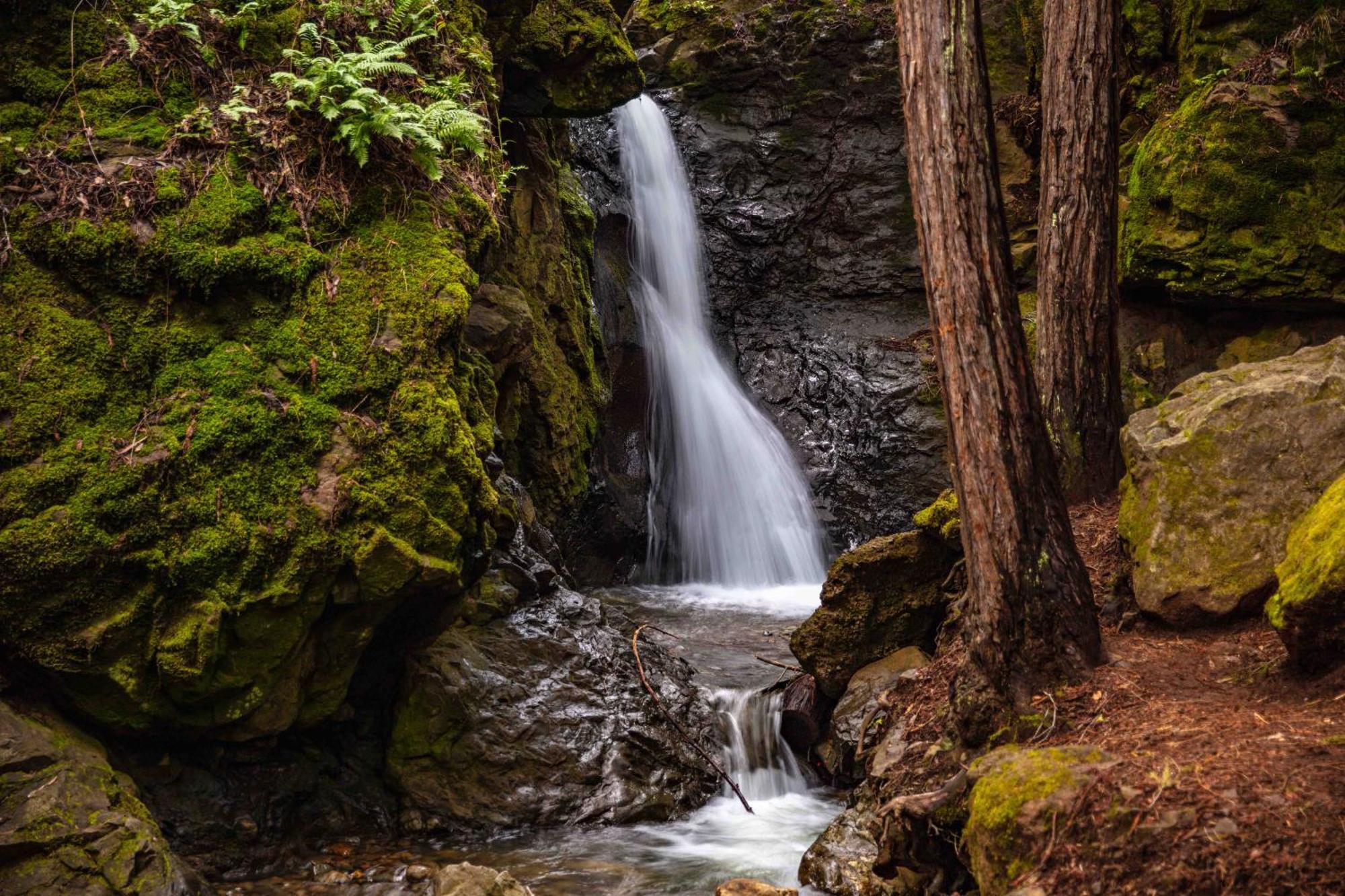 Enchanted Waterfall Sanctuary Милл-Вэлли Экстерьер фото